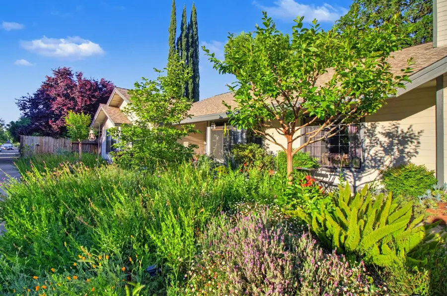 6042 Landis Avenue, Carmichael, CA 95608 - #3