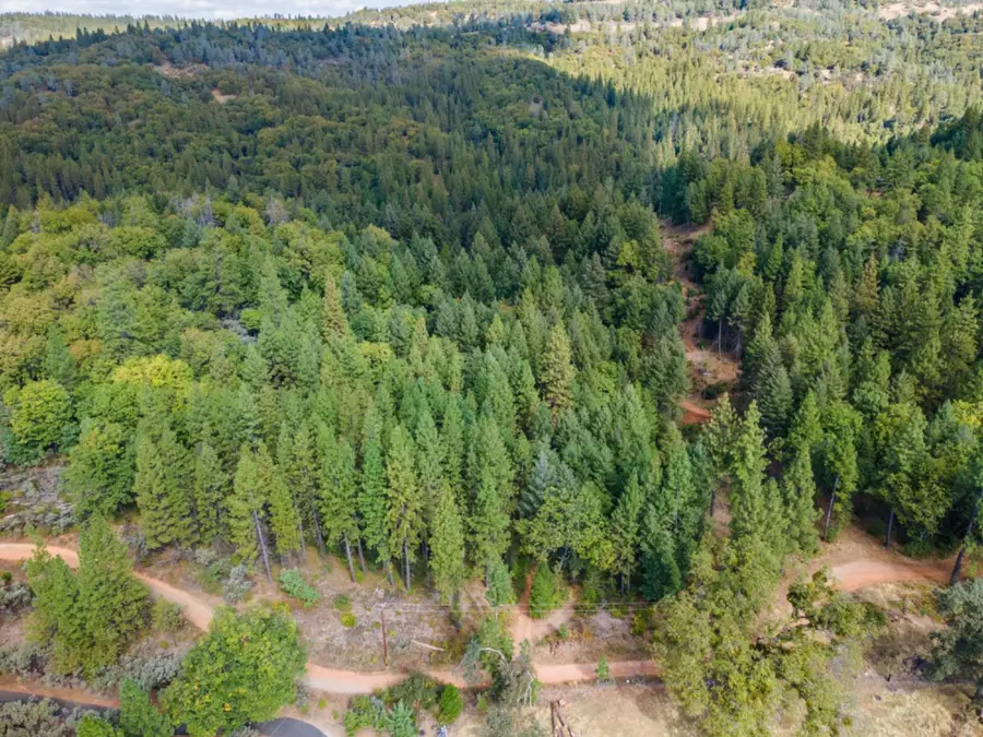 3765 Deer Canyon Road, Placerville, CA 95667 - #3
