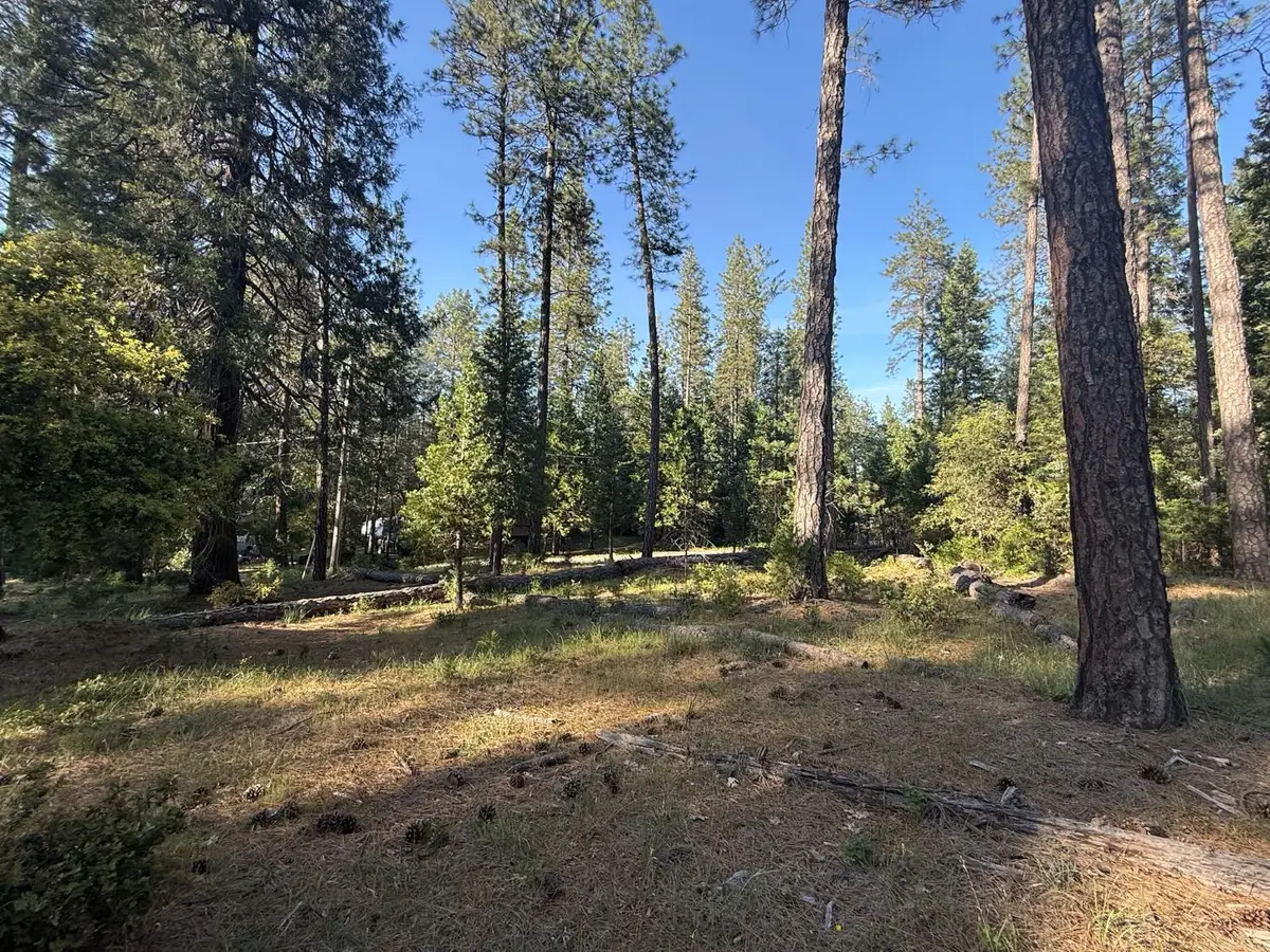 0 Pine Cone Lane, Meadow Vista, CA 95602 - #1