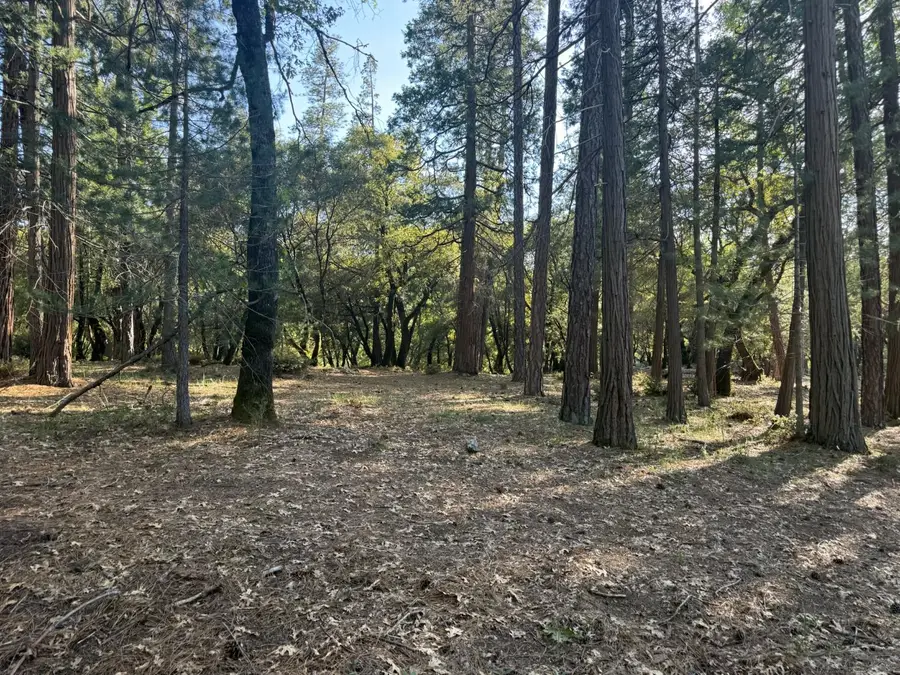 0 Pine Cone Lane, Meadow Vista, CA 95602 - #2