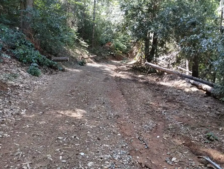 17150 Villa Lane, Dobbins, CA 95935 - #3