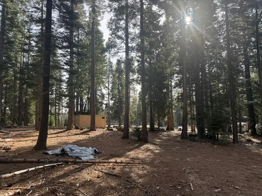 16127 Ophir Silver Road, Nevada City, CA 95959 - #3