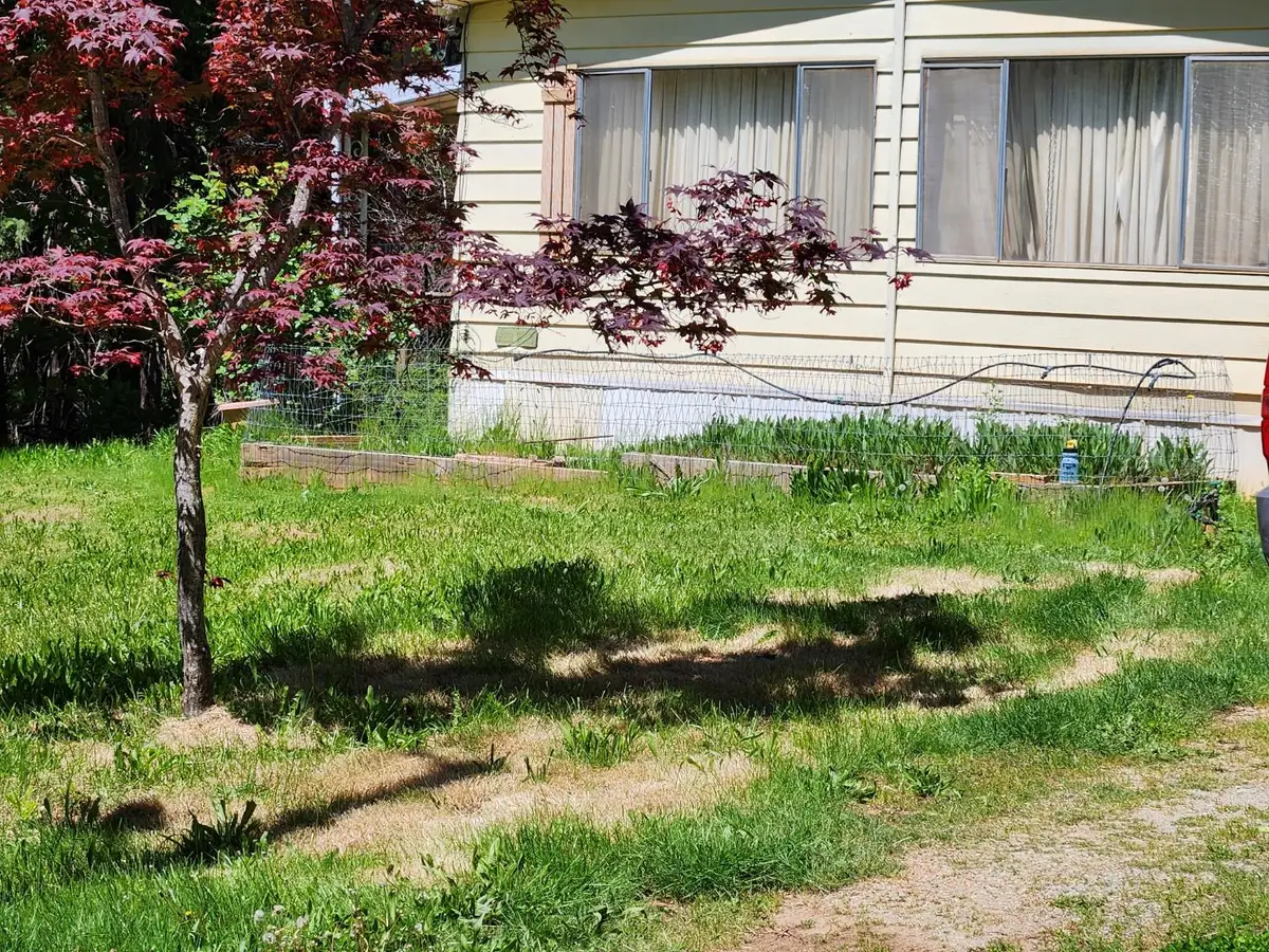 15305 Cleveland Avenue, Camptonville, CA 95922 - #1