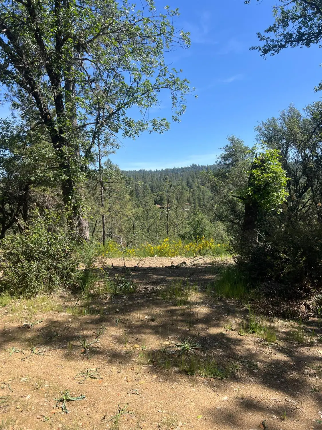 3790 State Highway 193, Greenwood, CA 95635 - #1