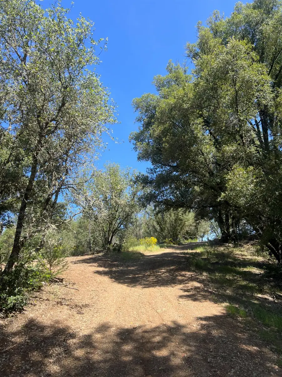 3790 State Highway 193, Greenwood, CA 95635 - #2