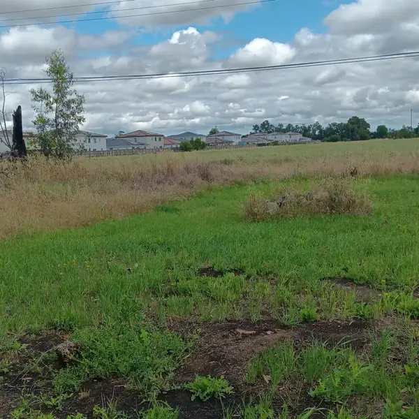 8645 Carlisle Avenue, Sacramento, CA 95828