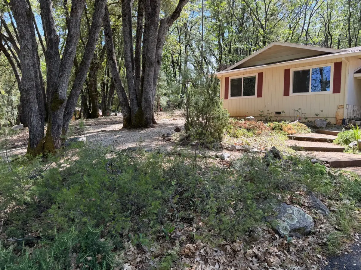 14041 Druid Lane, Pine Grove, CA 95665 - #1