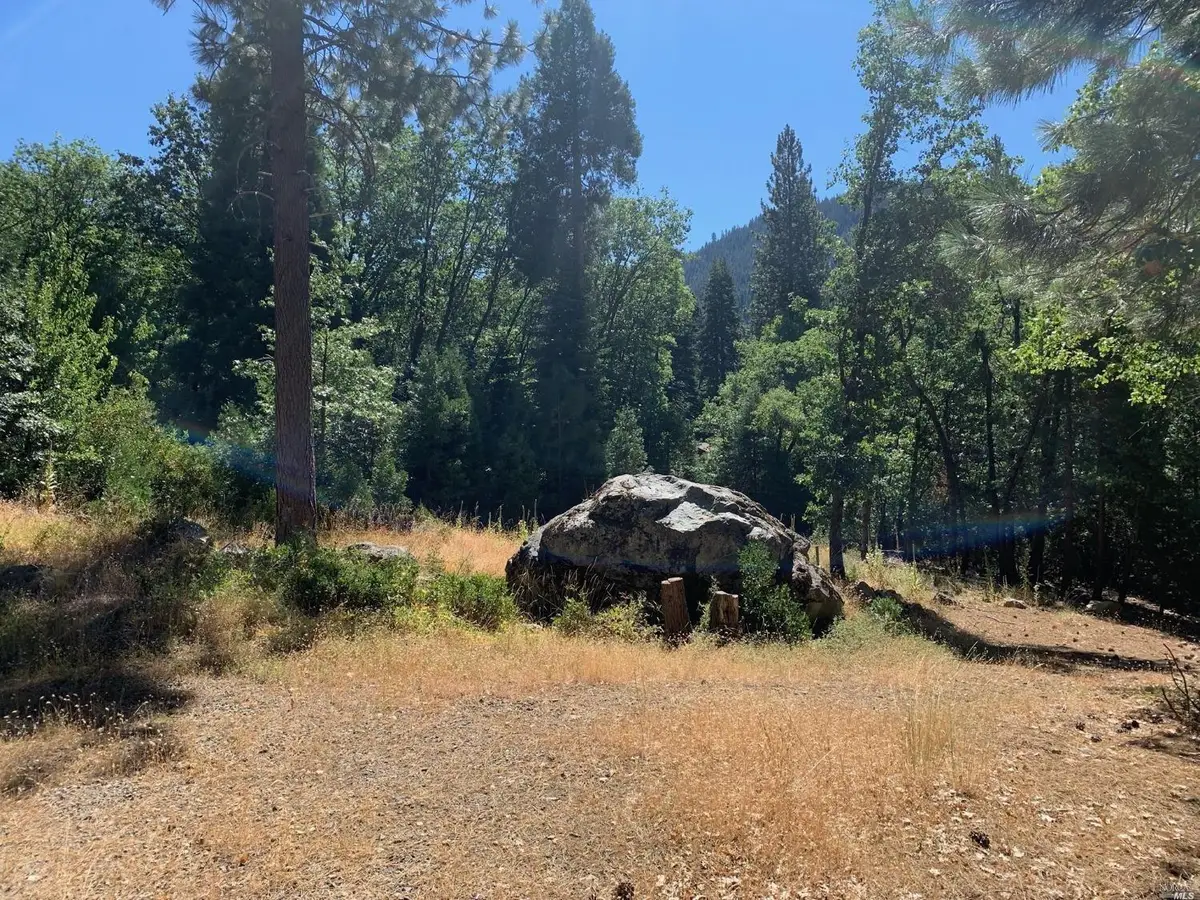 103 Lewis Ln., Sierra City, CA 96125 - #1