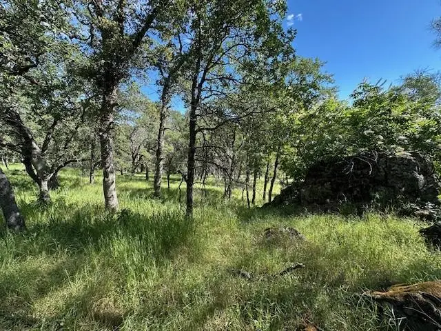 0 Redhill Way, Browns Valley, CA 95918 - #1