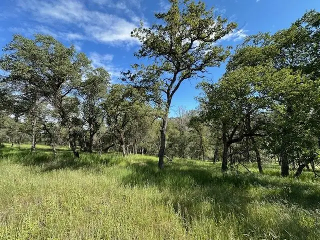 0 Redhill Way, Browns Valley, CA 95918 - #2