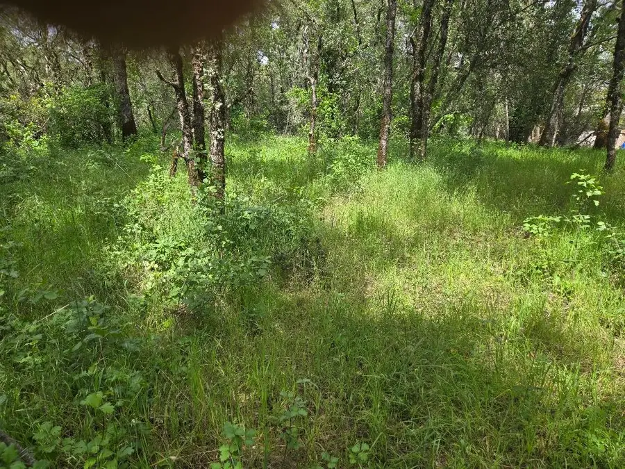 12729 Wolf Road, Grass Valley, CA 95949 - #2