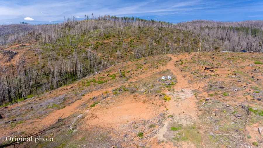 8580 Big Canyon Loop Road, Grizzly Flats, CA 95636 - #2