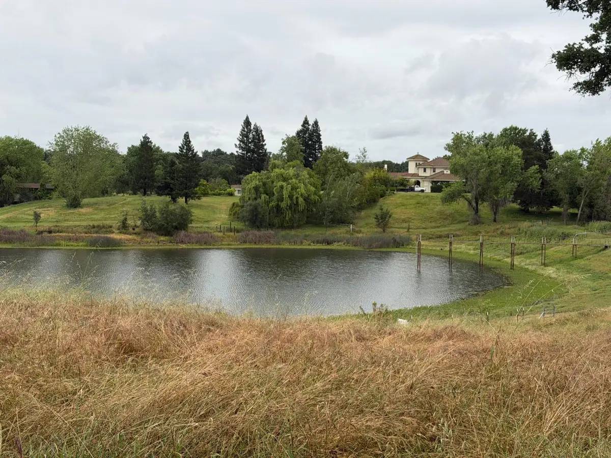 25045 N Mcintire Road, Clements, CA 95227 - #1