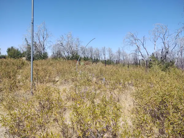 363 Raccoon Road, Berry Creek, CA 05016