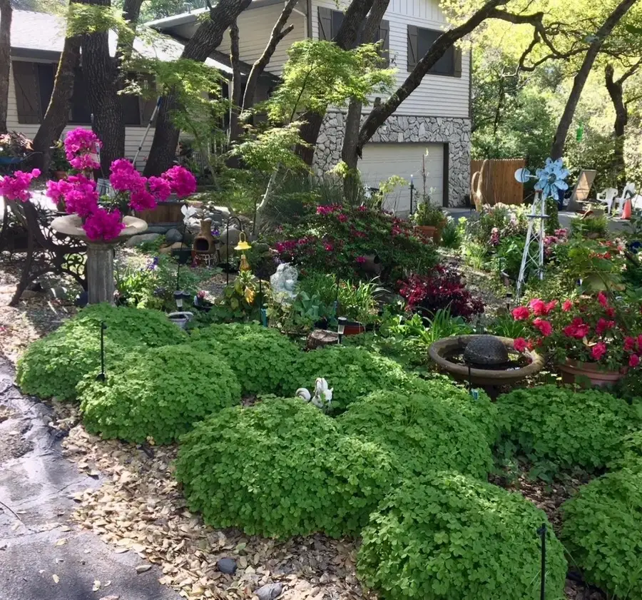 6320 Zamora Drive, Placerville, CA 95667 - #3