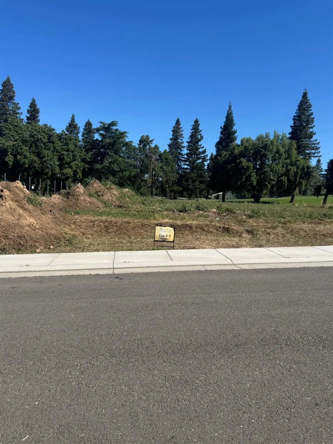 9819 Plaza De Oro Drive, Oakdale, CA 95361 - #1