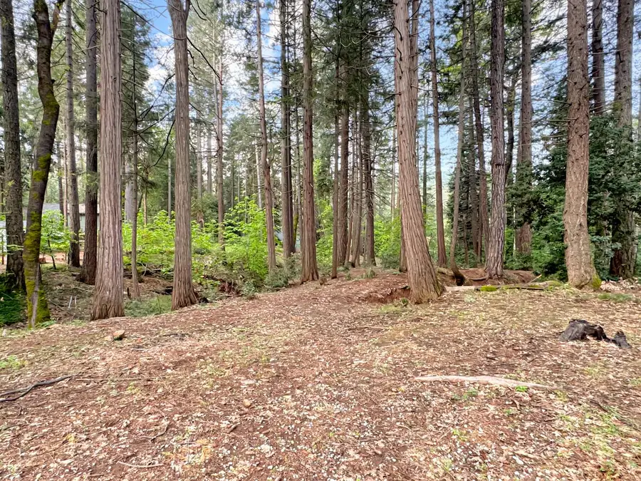 12834 Spanish Lane, Nevada City, CA 95959 - #2