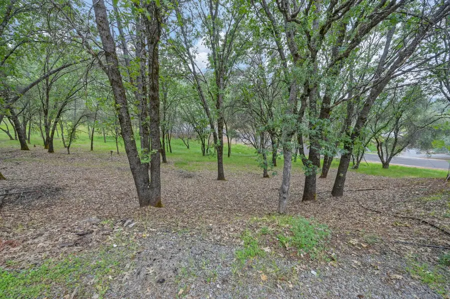 2101 Secret Diggin Court, Cool, CA 95614 - #3
