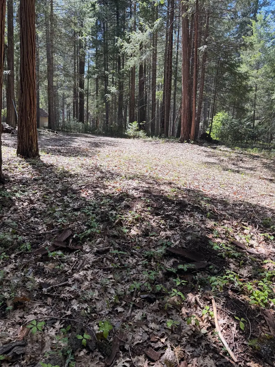 17889 Lightfoot Way, Nevada City, CA 95959 - #2