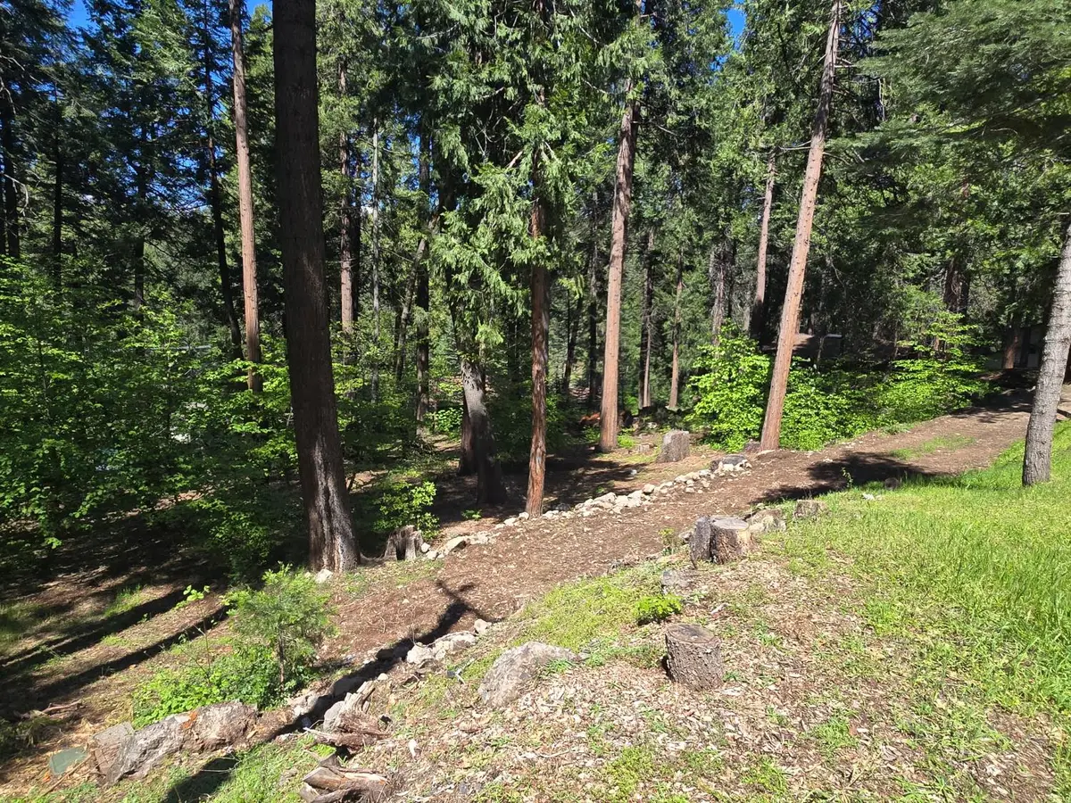 6771 Onyx Trail, Pollock Pines, CA 95726 - #1
