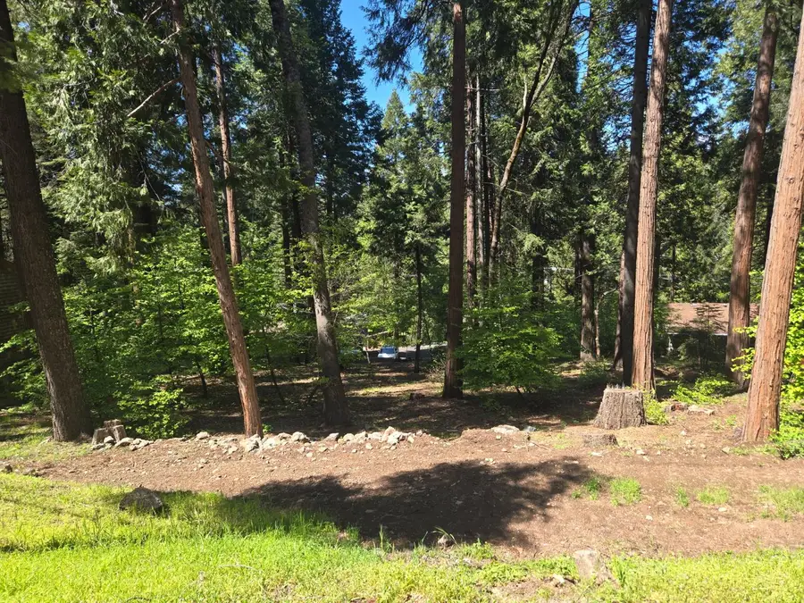 6771 Onyx Trail, Pollock Pines, CA 95726 - #3
