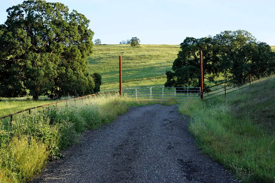 9830 New Chicago Road, Drytown, CA 95699 - #3