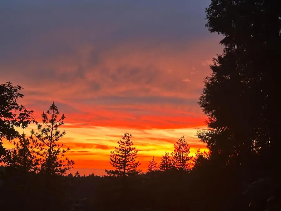 6830 Frontier Road, Pollock Pines, CA 95726 - #2