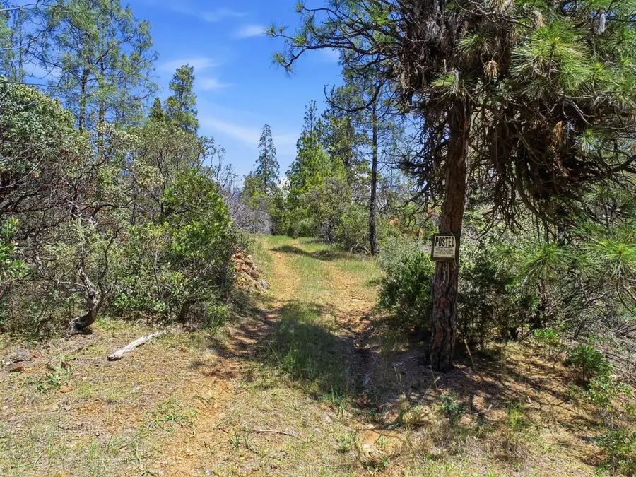 14041 Lois Lane, Nevada City, CA 95959 - #2