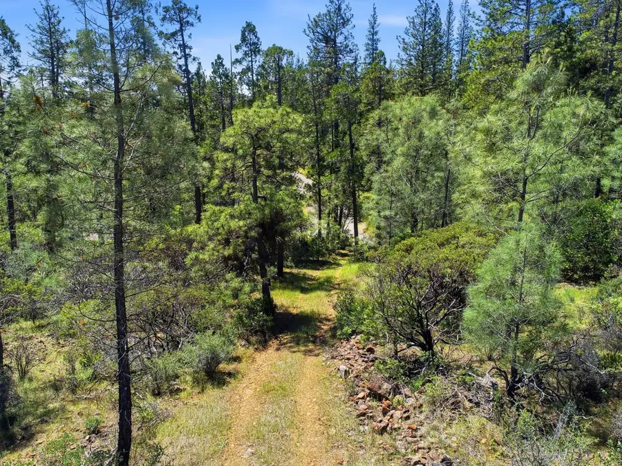 14041 Lois Lane, Nevada City, CA 95959 - #3