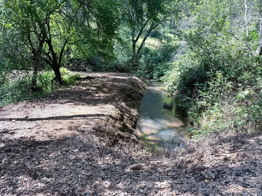 11290 Township Road, Browns Valley, CA 95918 - #2