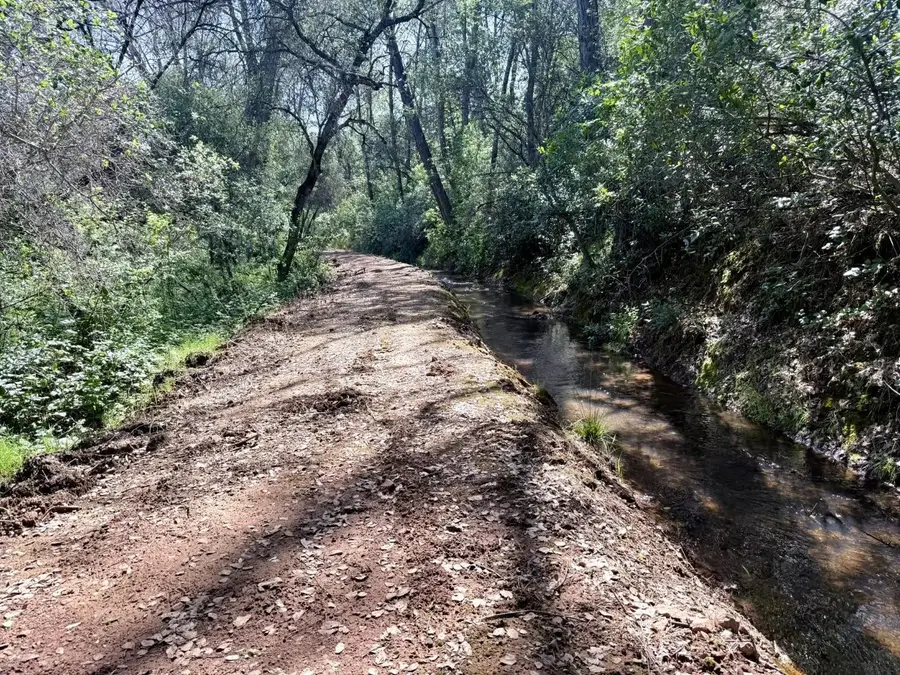 11290 Township Road, Browns Valley, CA 95918 - #3