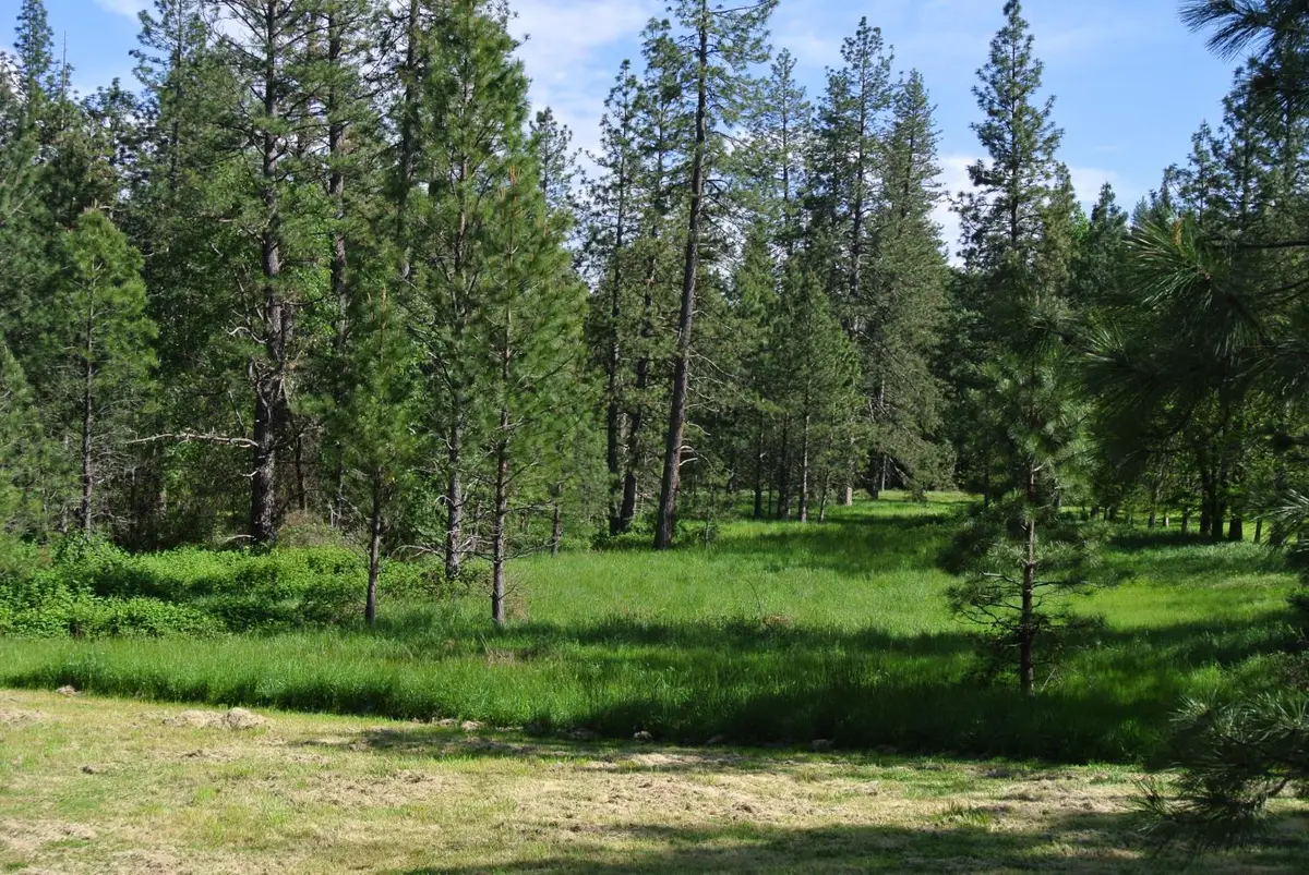 6053 Parkwood Court, Foresthill, CA 95631 - #1