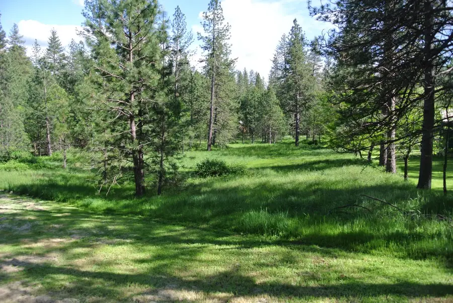 6053 Parkwood Court, Foresthill, CA 95631 - #2