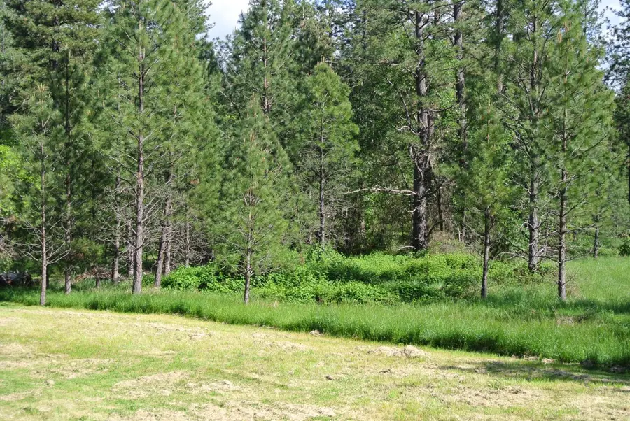 6053 Parkwood Court, Foresthill, CA 95631 - #3