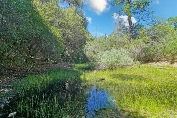 3501 Elysian Way, Placerville, CA 95667