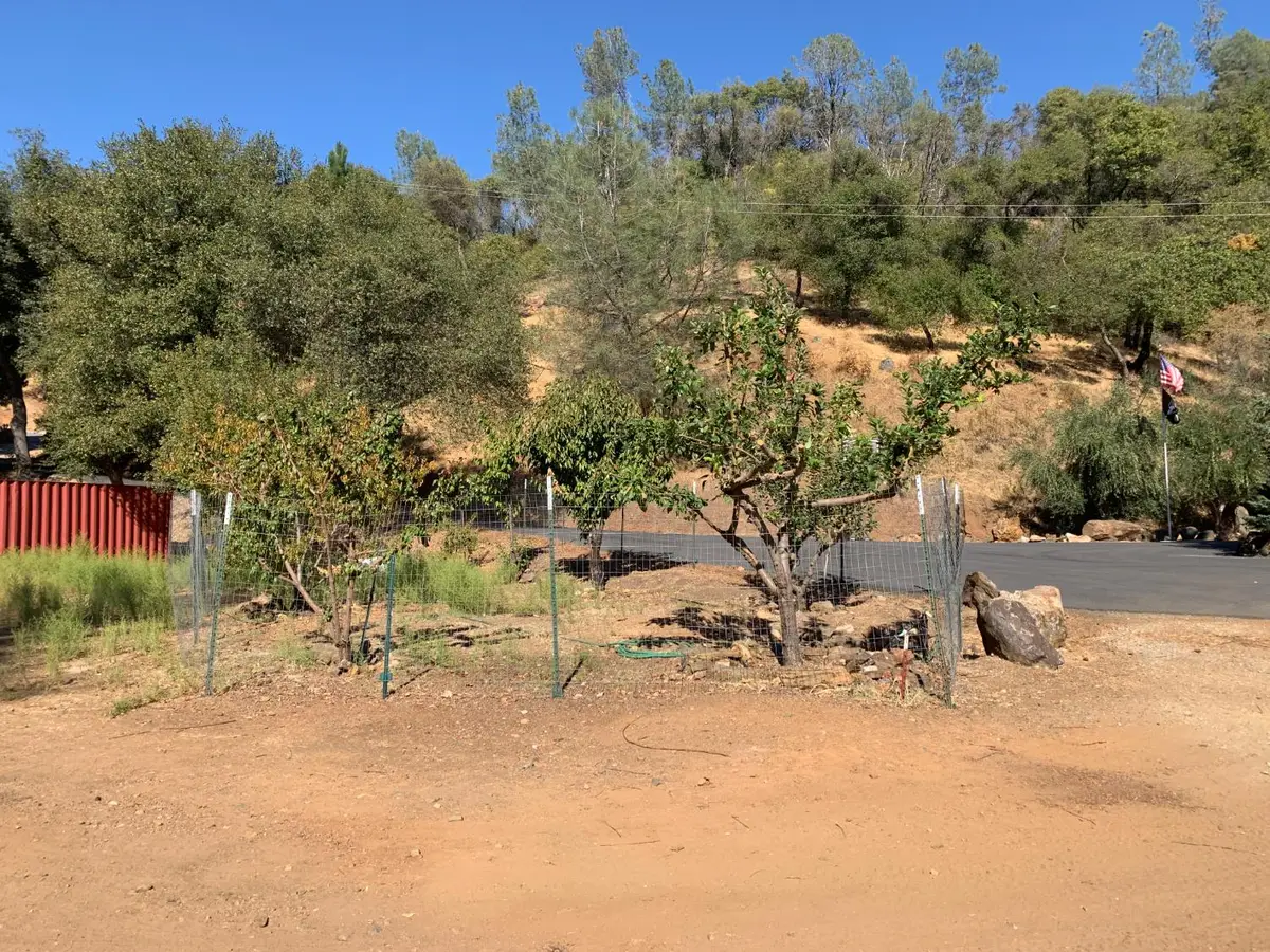 3888 Durock Road, Shingle Springs, CA 95682 - #1