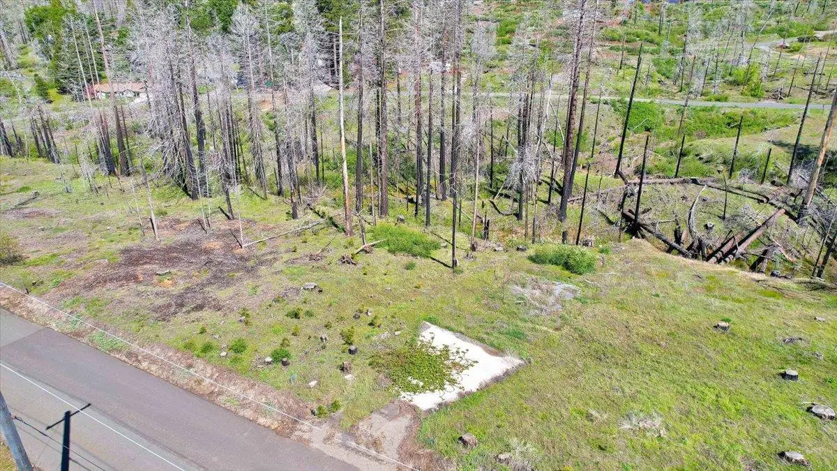 7403 Winding Way, Grizzly Flats, CA 95636 - #1