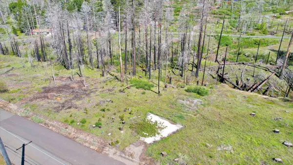 7403 Winding Way, Grizzly Flats, CA 95636