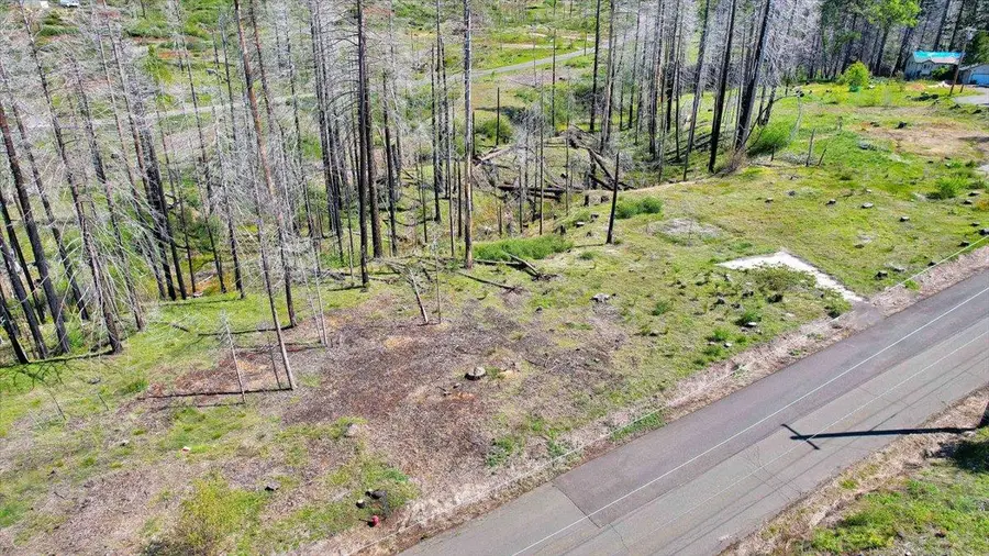7403 Winding Way, Grizzly Flats, CA 95636 - #2