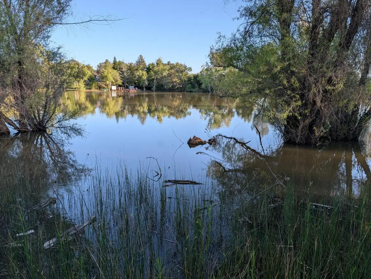 4040 Lakeview Drive, Shingle Springs, CA 95682 - #1