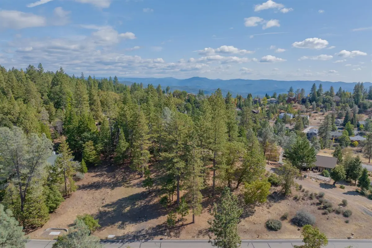 323 Forest Meadows Drive, Murphys, CA 95247 - #1