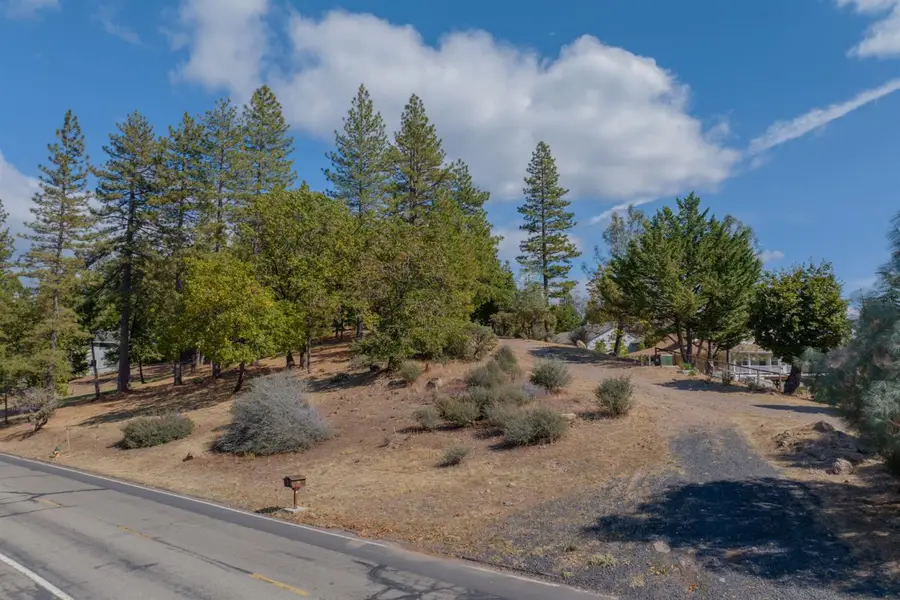 323 Forest Meadows Drive, Murphys, CA 95247 - #3
