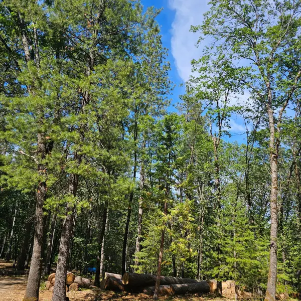 15367 Lakewood Lane, Grass Valley, CA 95945