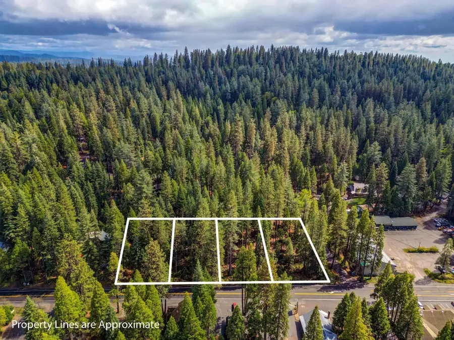 857 Hwy 4, Arnold, CA 95223 - #3