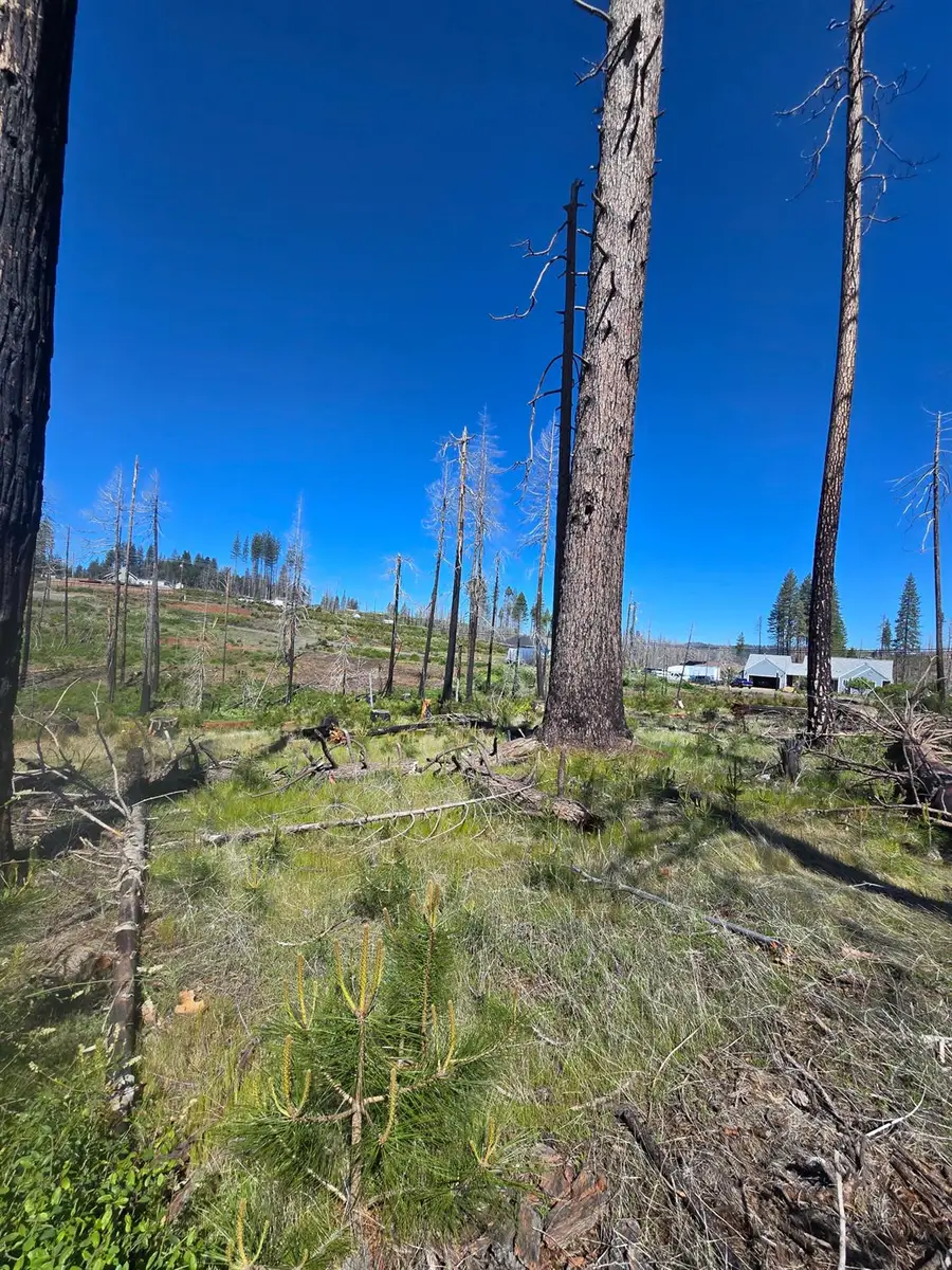 5217 Golden Aspen, Grizzly Flats, CA 95636 - #2