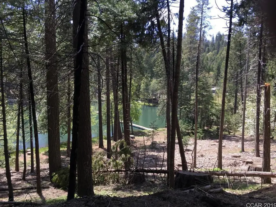 468 Mauna Kea Drive, Arnold, CA 95223 - #3