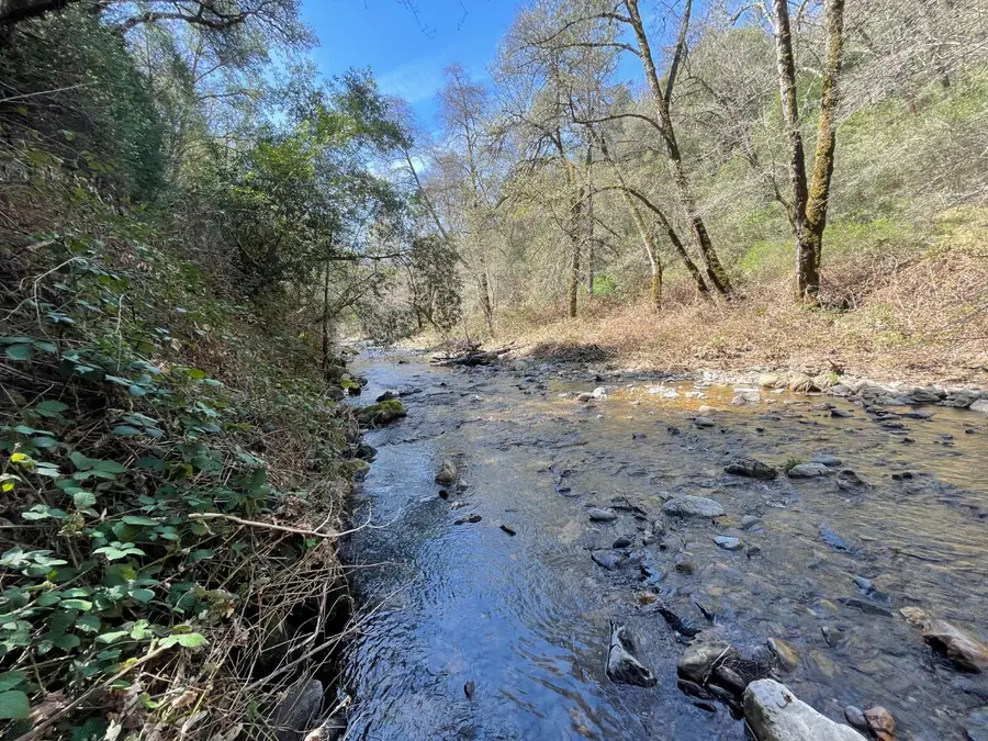 17252 Sutter Creek Road, Sutter Creek, CA 95685 - #2