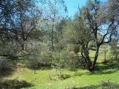 6866 Mosquito Road, Placerville, CA 95667 - #3