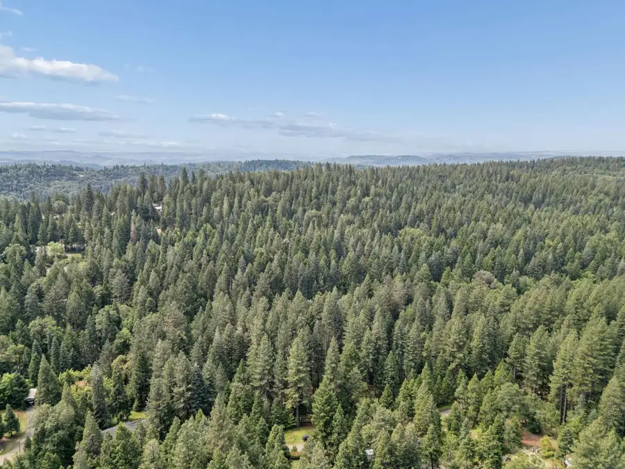 3354 Crocker Ranch Rd, Camino, CA 95709 - #2