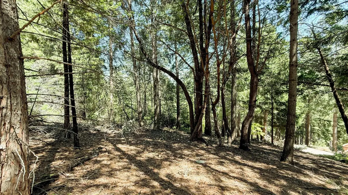 18910 Circle View, Pioneer, CA 95666 - #1